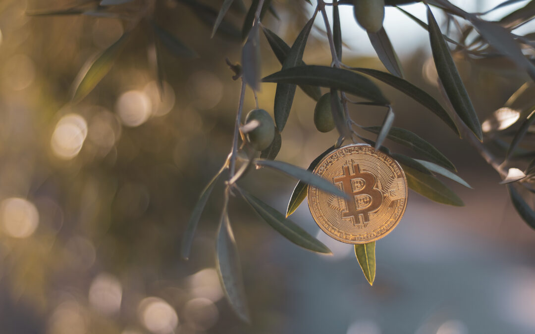 Hablemos de Cripto